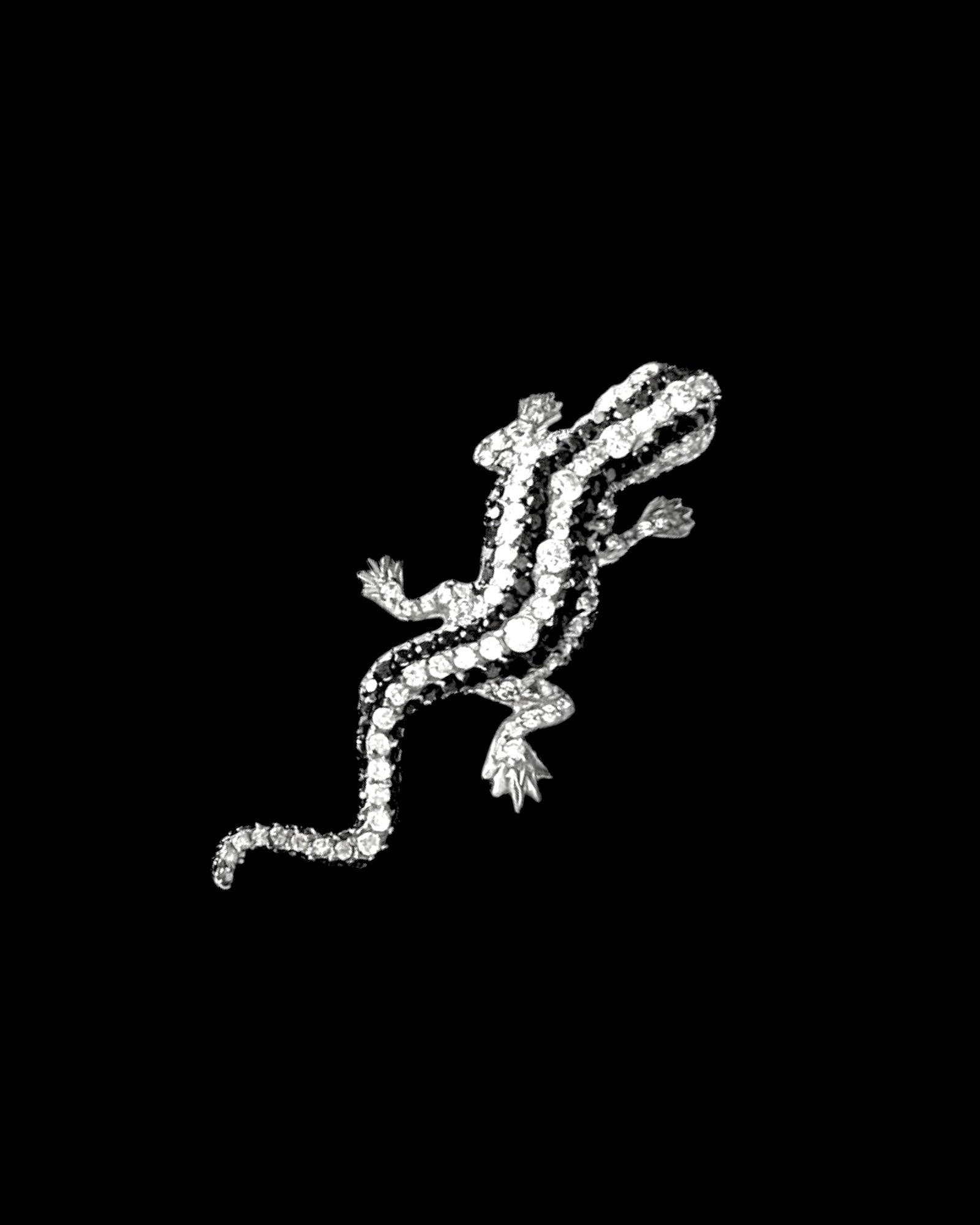 Alfinete Lagarto em Prata