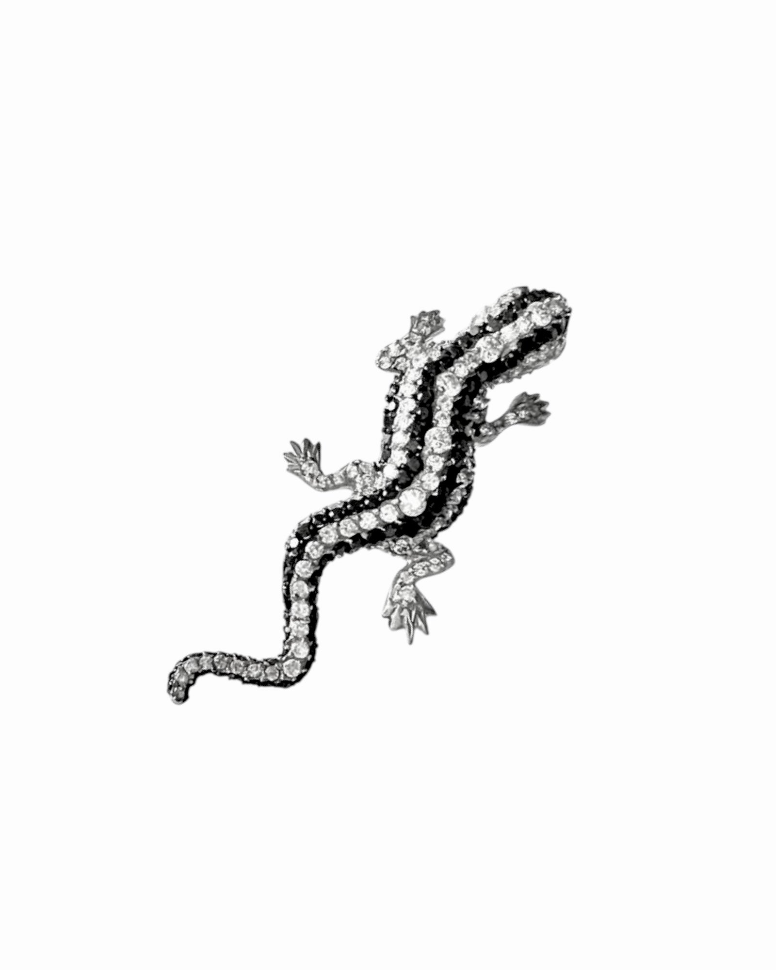 Alfinete Lagarto em Prata