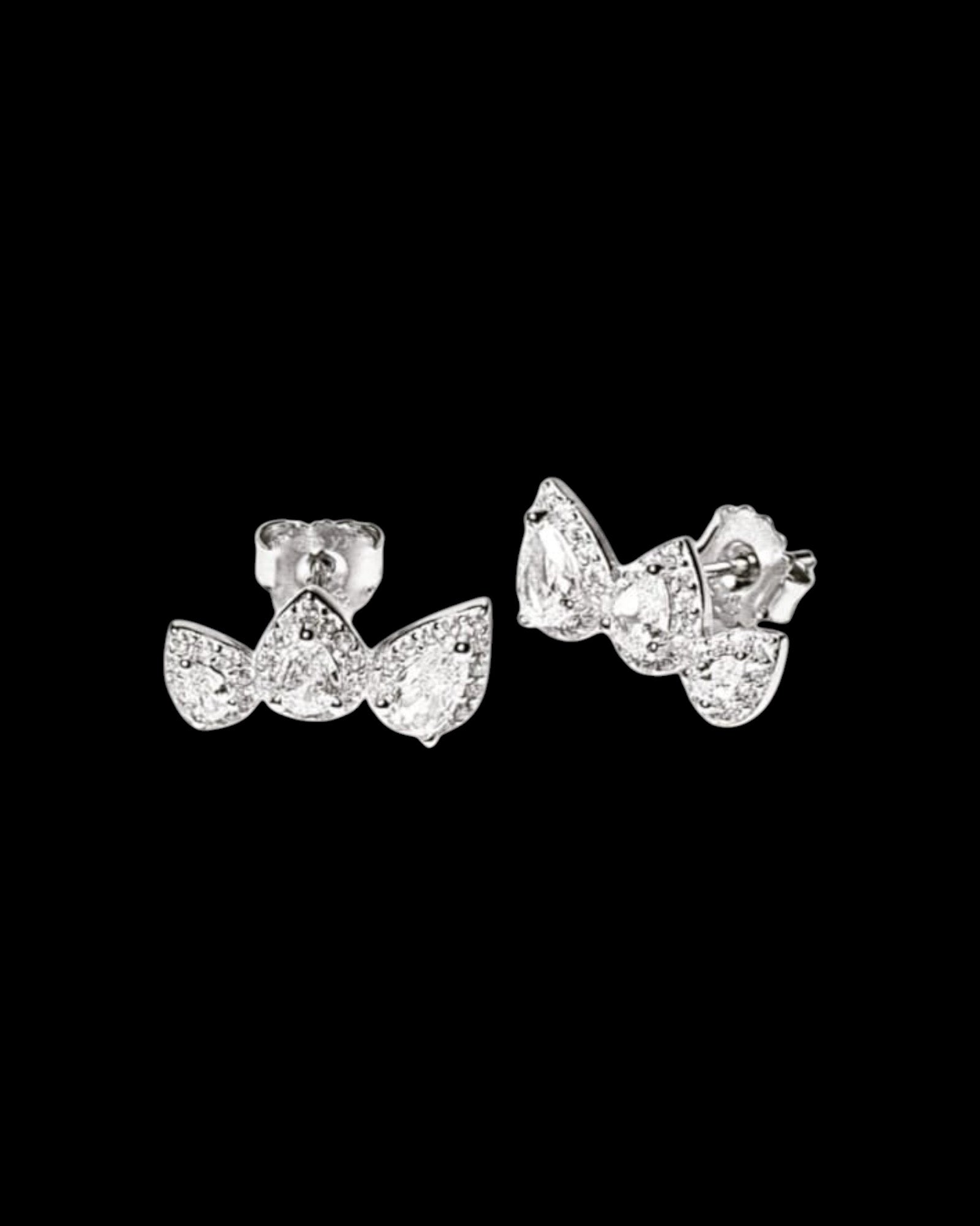 Silver Shiny Earrings