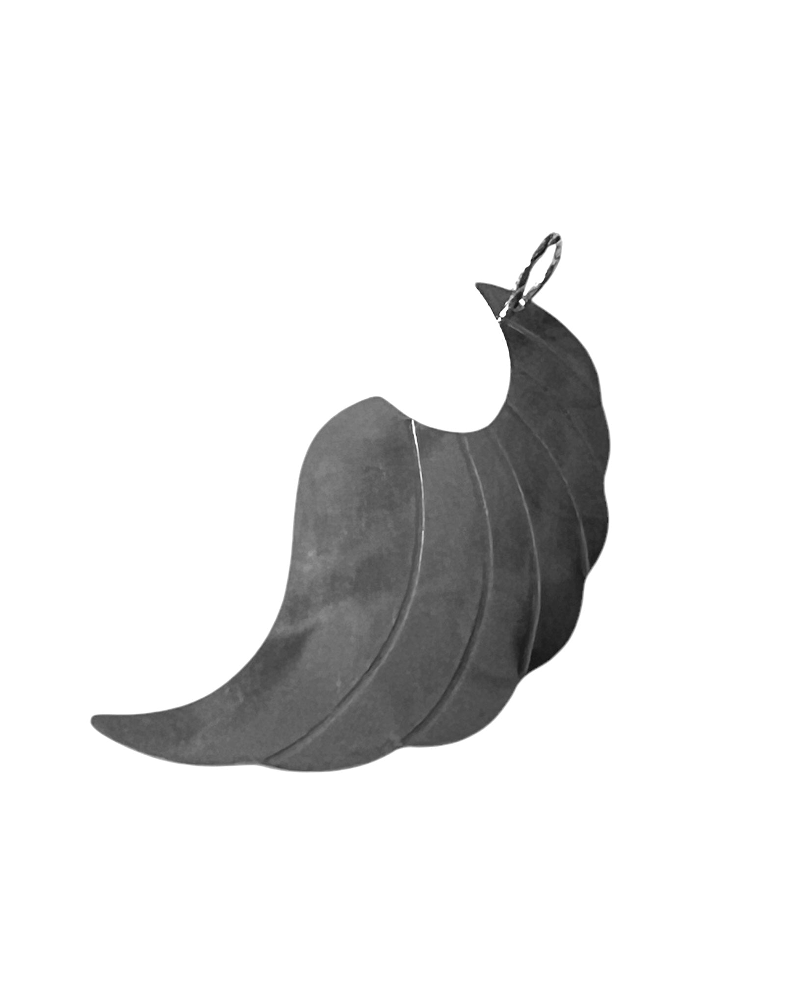 Silver Wing Medal