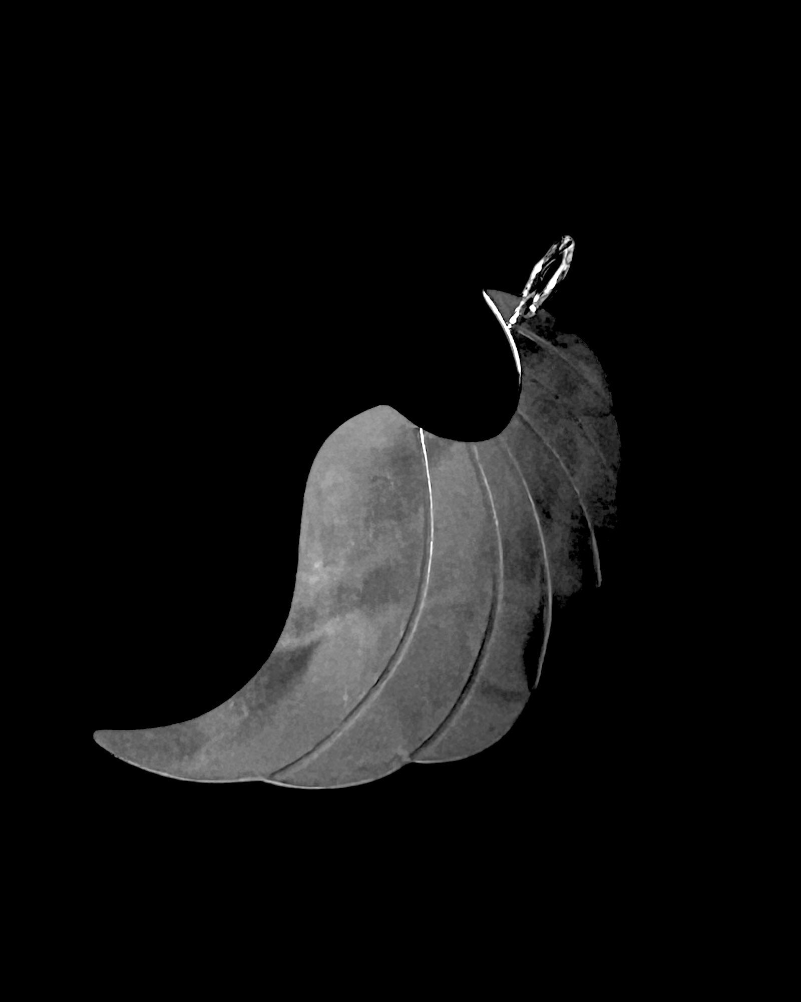 Silver Wing Medal
