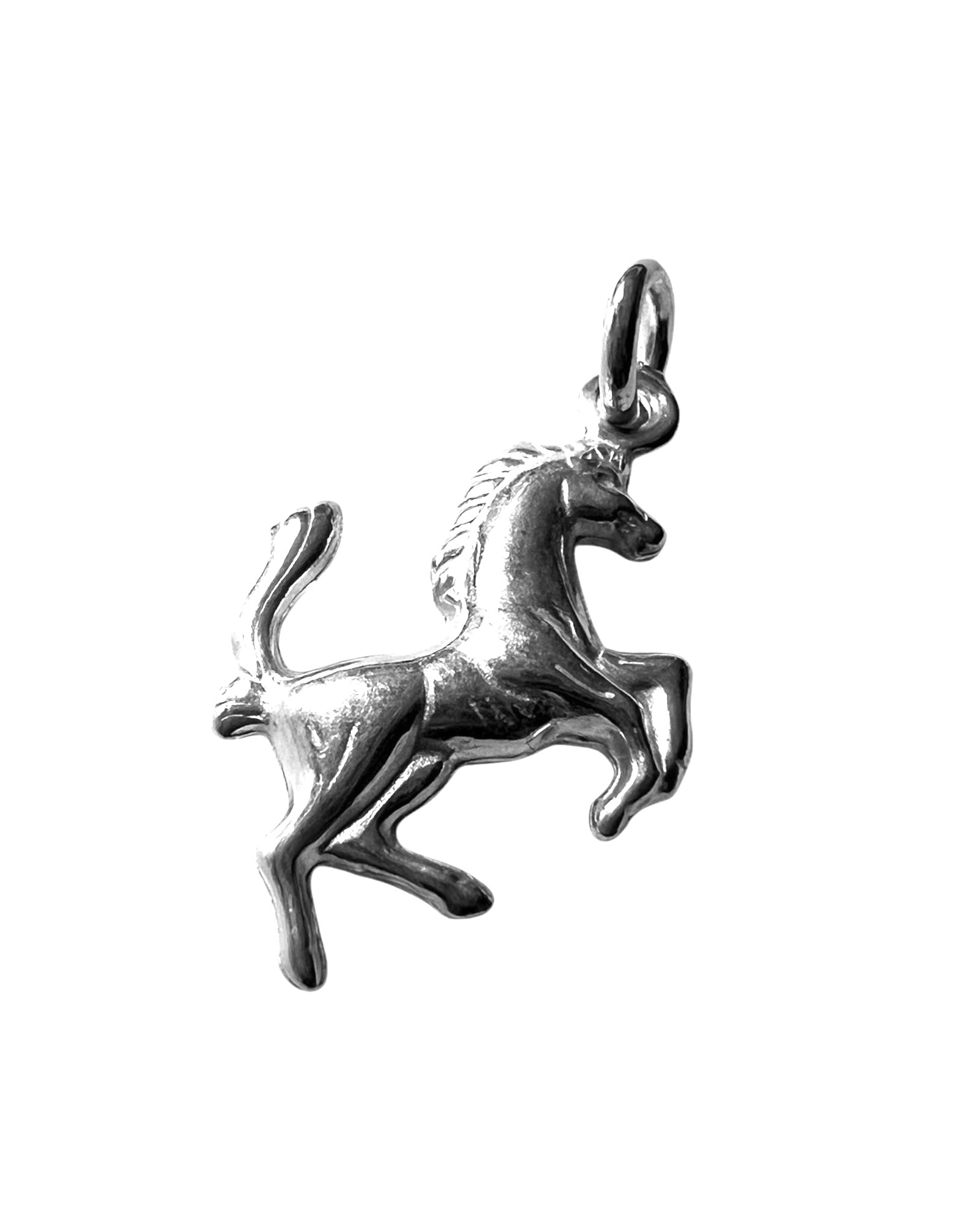 Silver Horse Medal