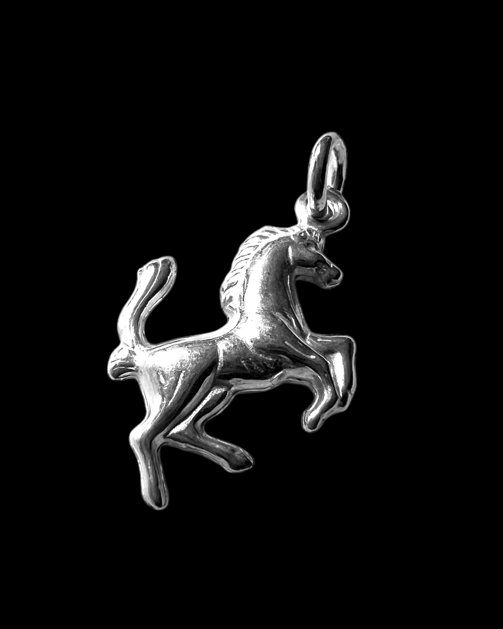 Silver Horse Medal