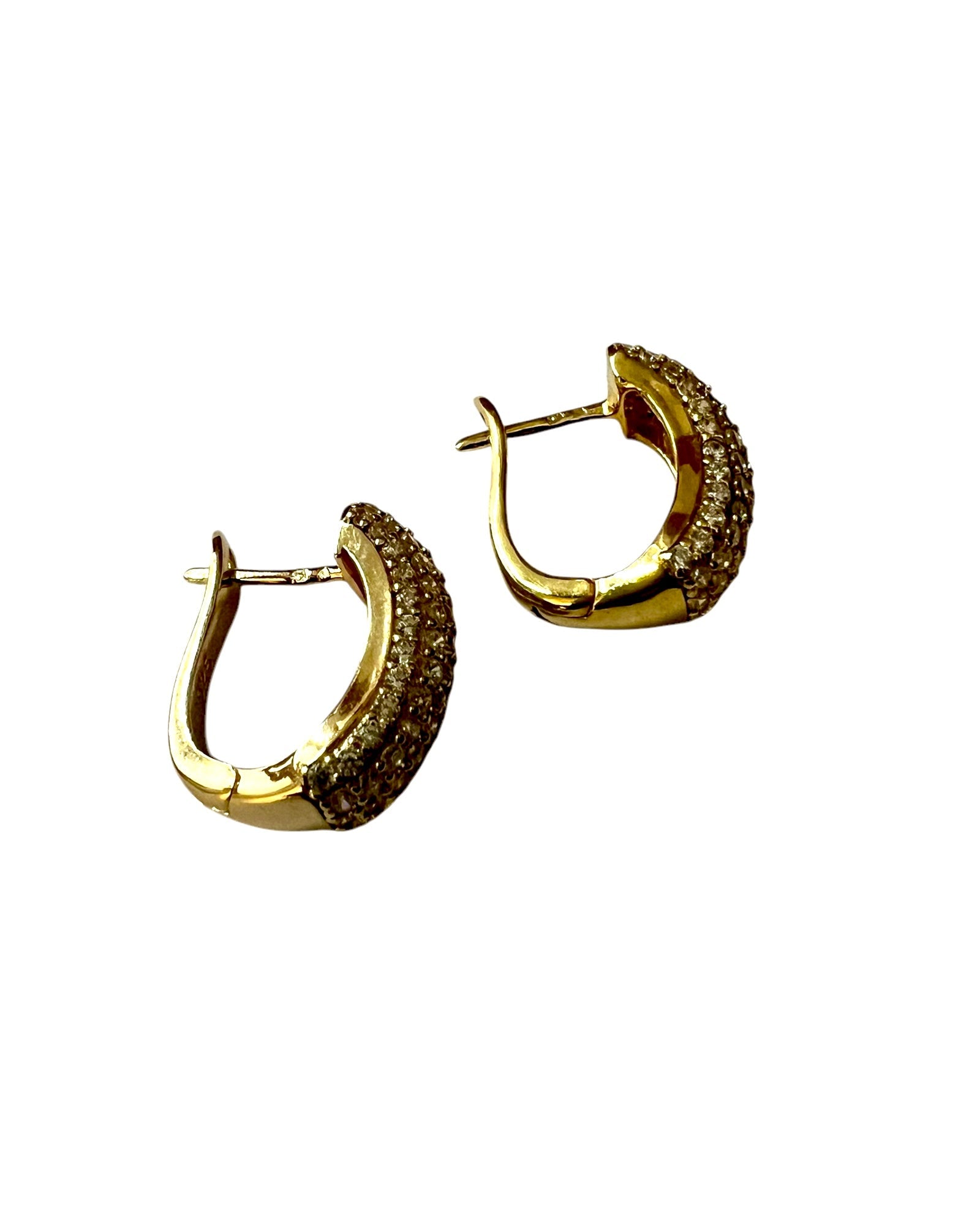 Gold Silver Shiny Hoops