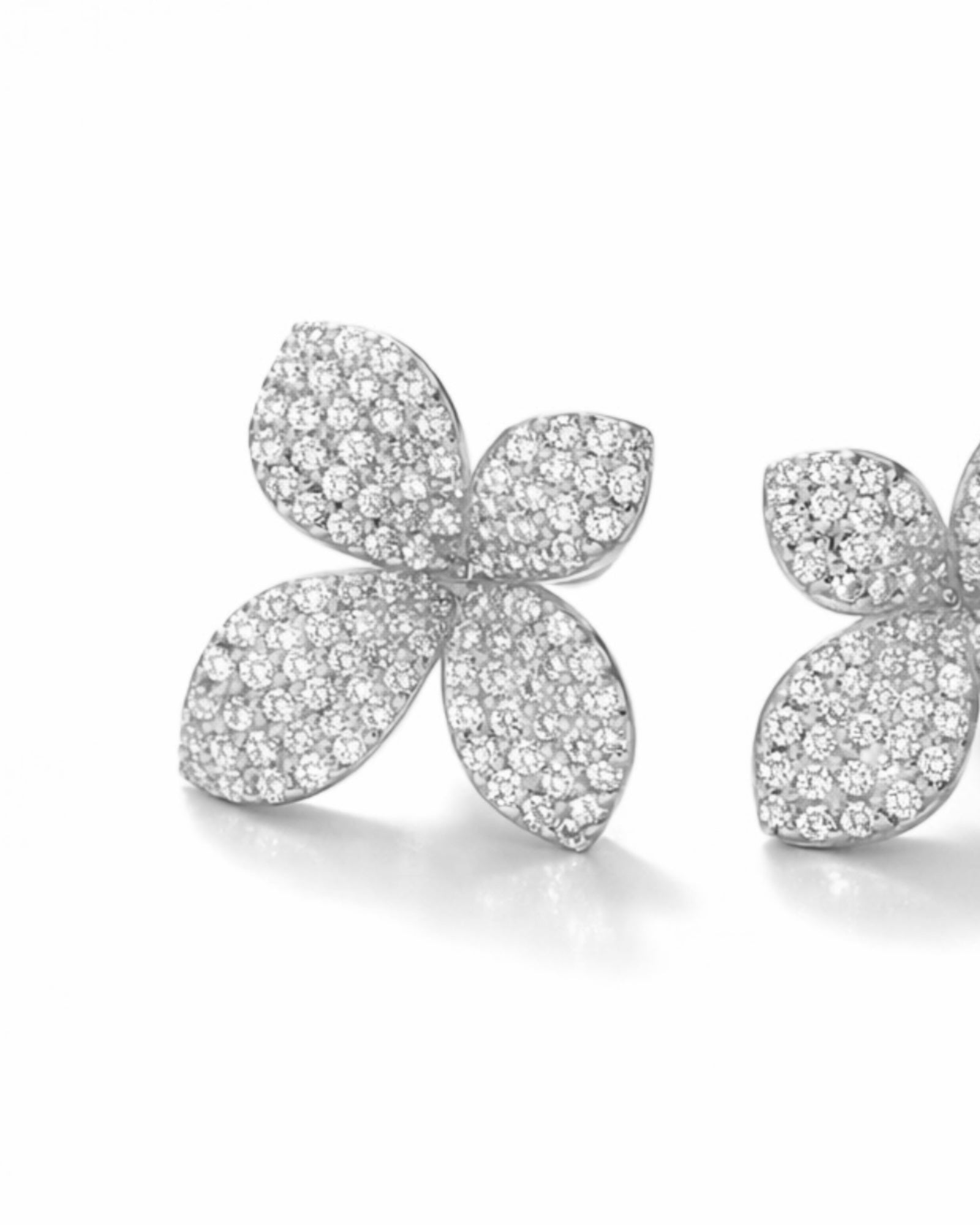 Brincos Pétalas em Prata