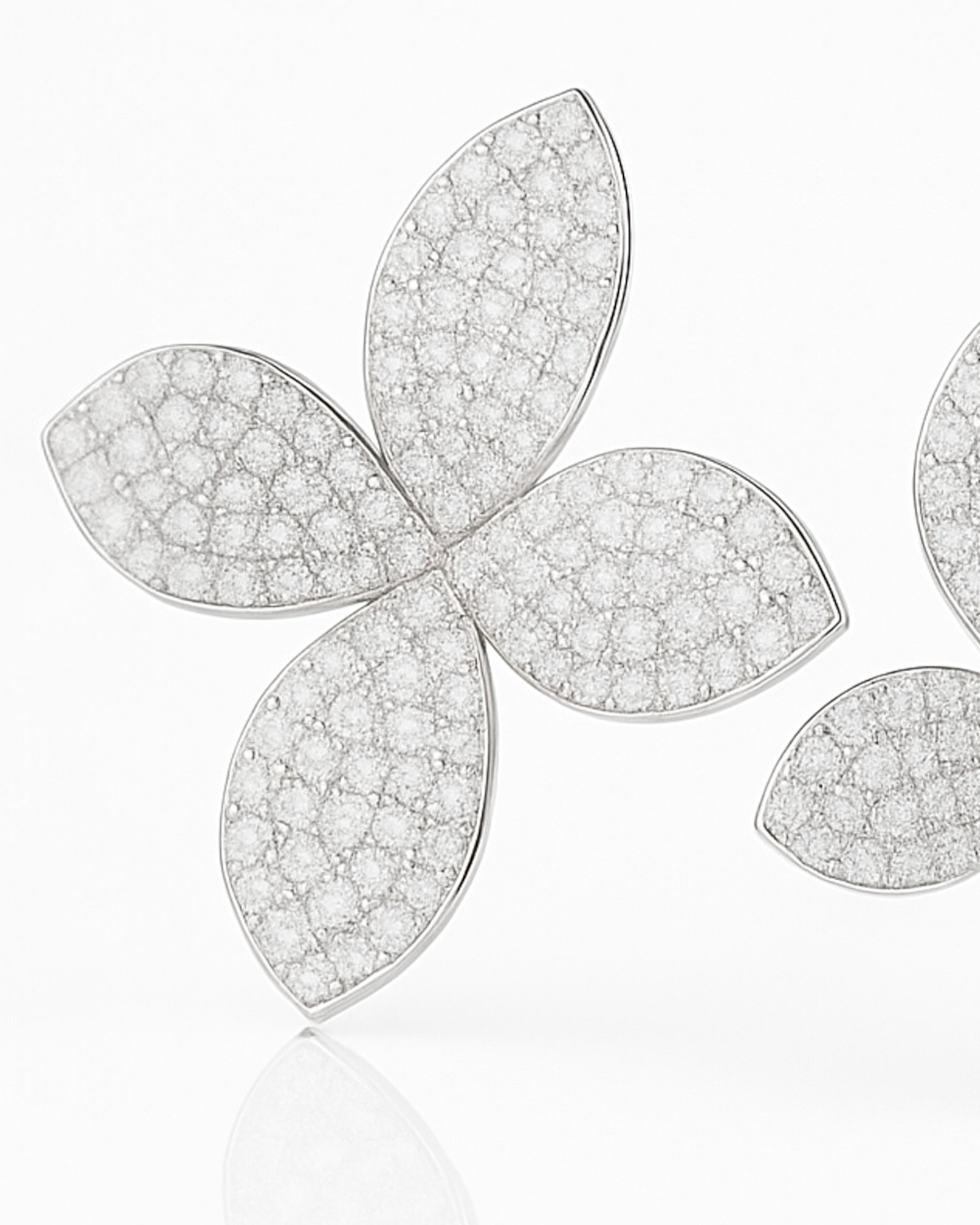 Brincos Pétalas em Prata