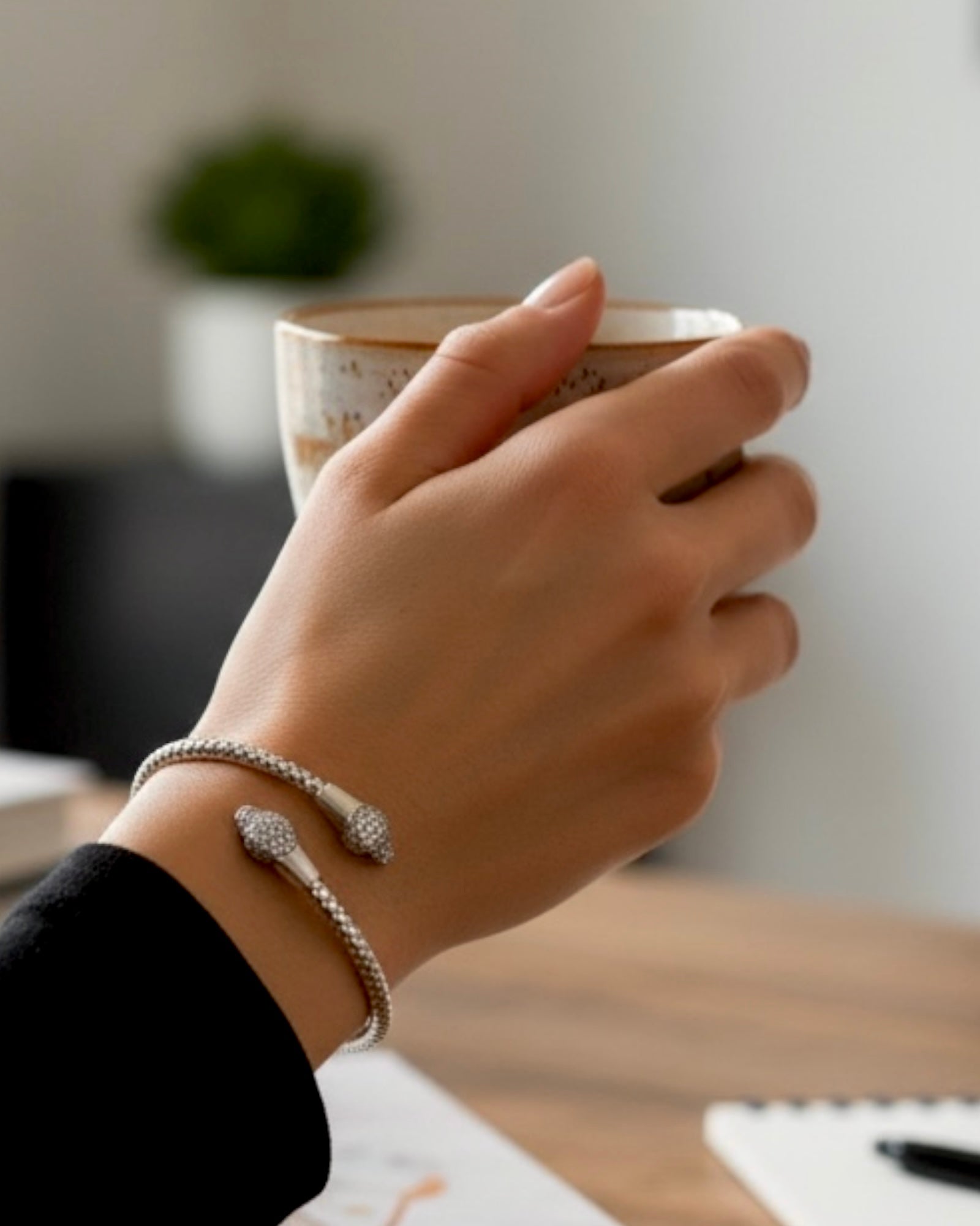 Slave Snake Bracelet in Silver